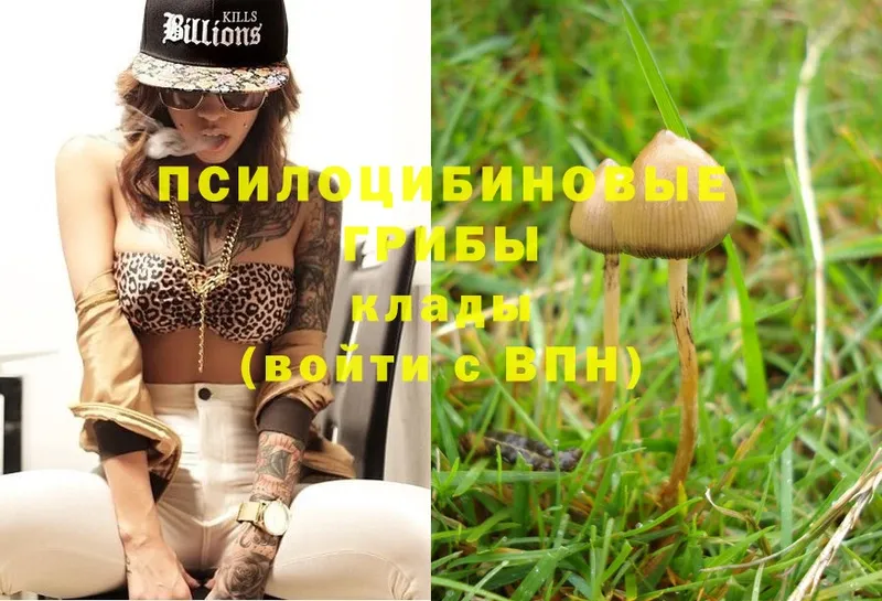 Галлюциногенные грибы MAGIC MUSHROOMS Верхотурье